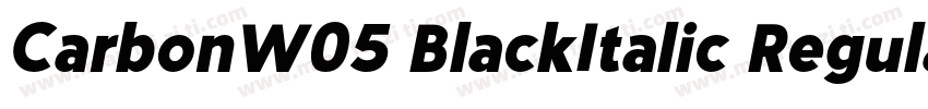 CarbonW05 BlackItalic Regular字体转换